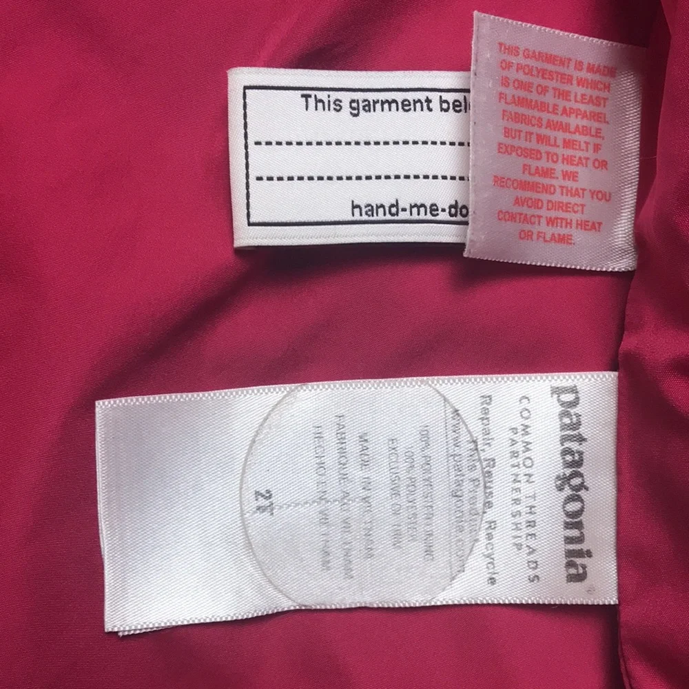 Patagonia Fleece Jacket (size 2T)